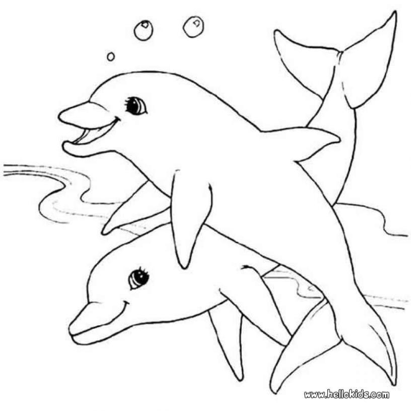 816x816 Dolphin Coloring Pages