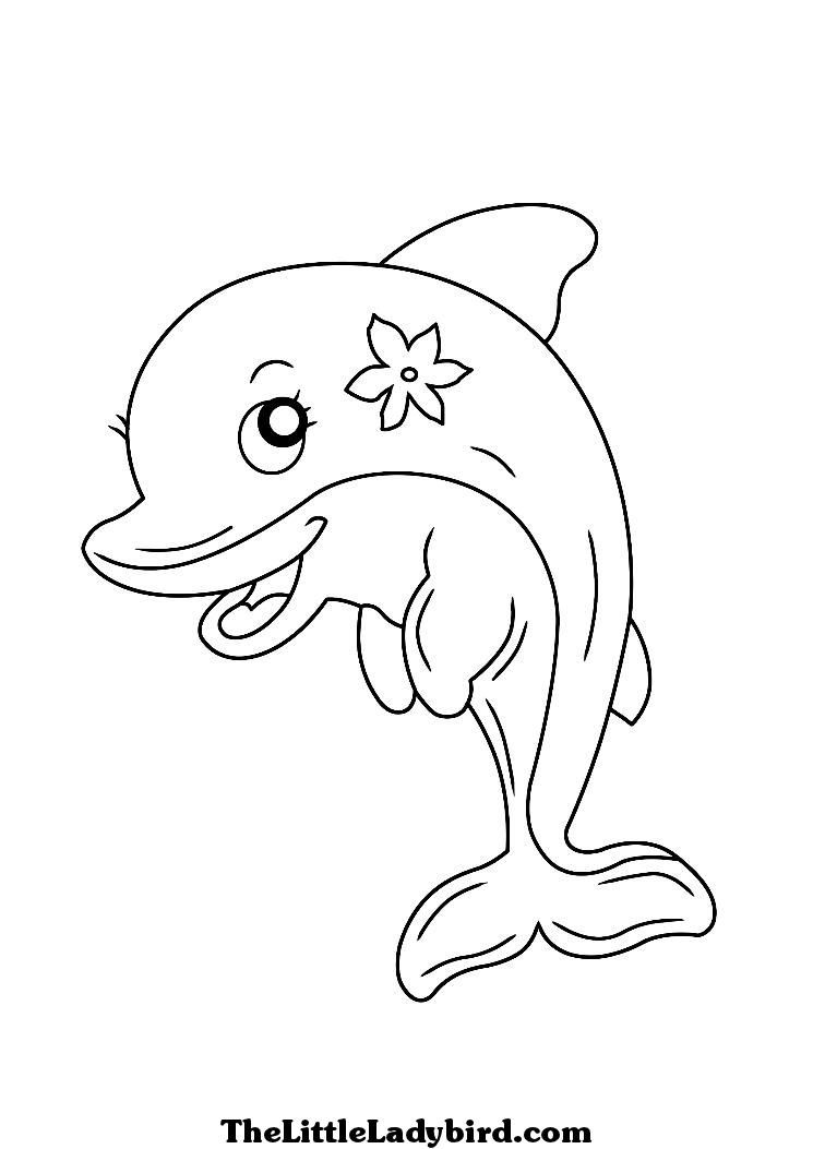 745x1053 Dolphin Coloring Page