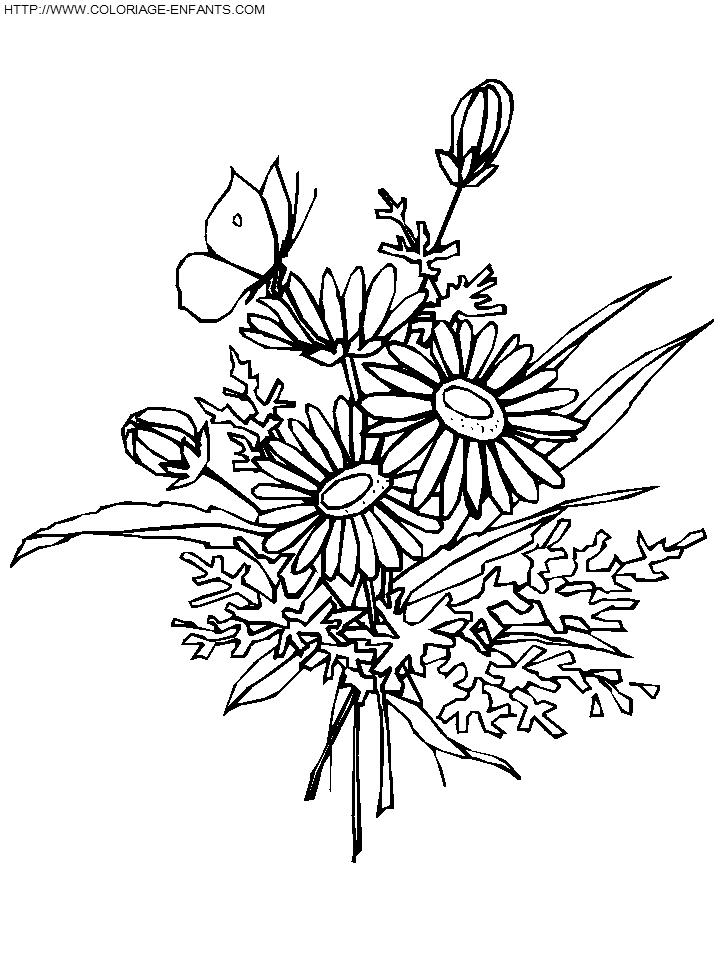 718x957 Bouquet Of Flowers