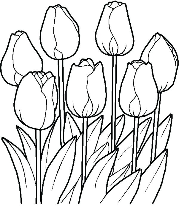 600x693 Garden Flowers Coloring Pages Bouquet Of Flowers Coloring Page