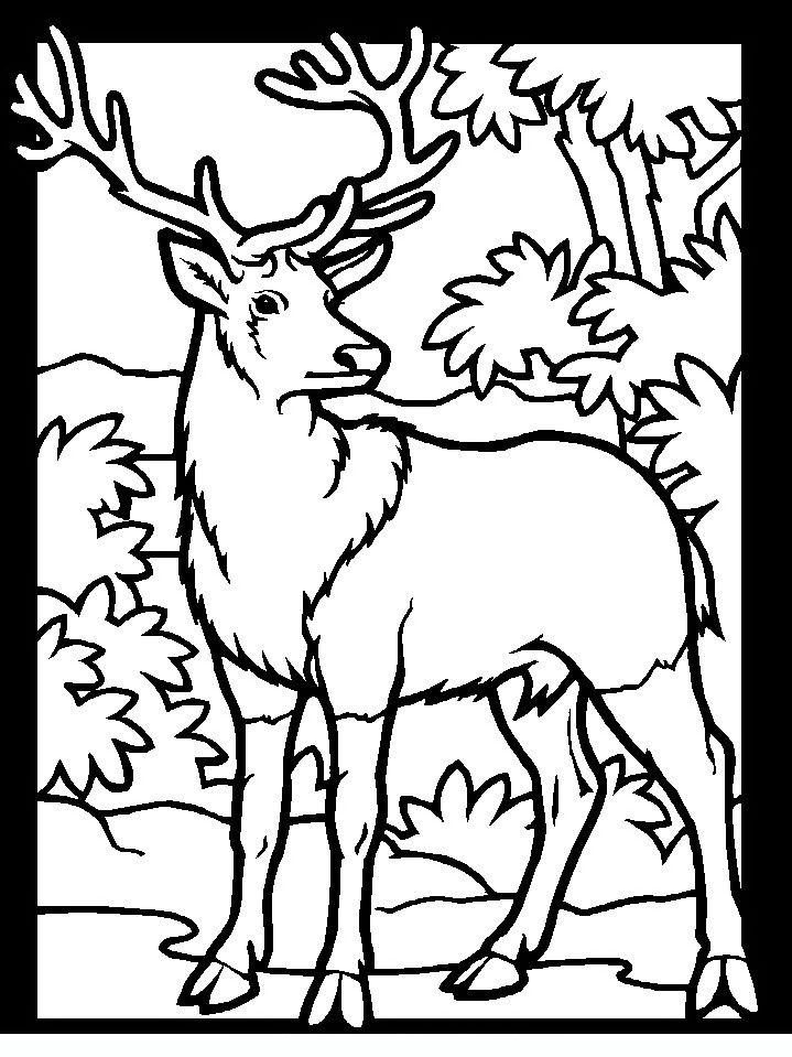 Bow Hunting Coloring Pages