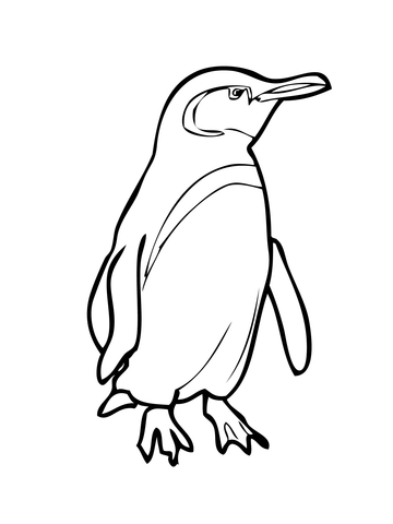 360x480 King Penguin With Bow Tie Coloring Page