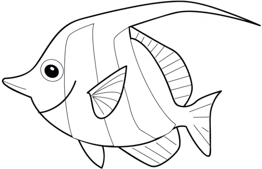 1024x661 Coloring Pages ~ Coloring Pages Of Fish Angel Printable A Page
