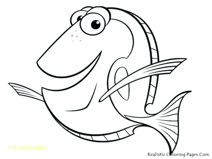 728x546 Coloring Page Fish Color Pages Of Fish Free Coloring Pages Fish