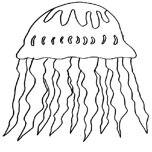 600x600 Jellyfish Coloring Pages Page Image Images Coloring Pages Box