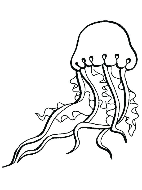 600x800 Jellyfish Coloring Pages Printable Printable Coloring Jellyfish