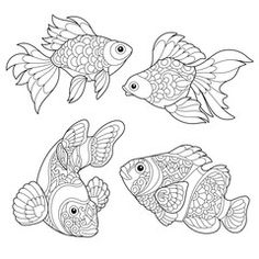 236x236 Eastern Box Turtle Super Coloring Coloring Pages