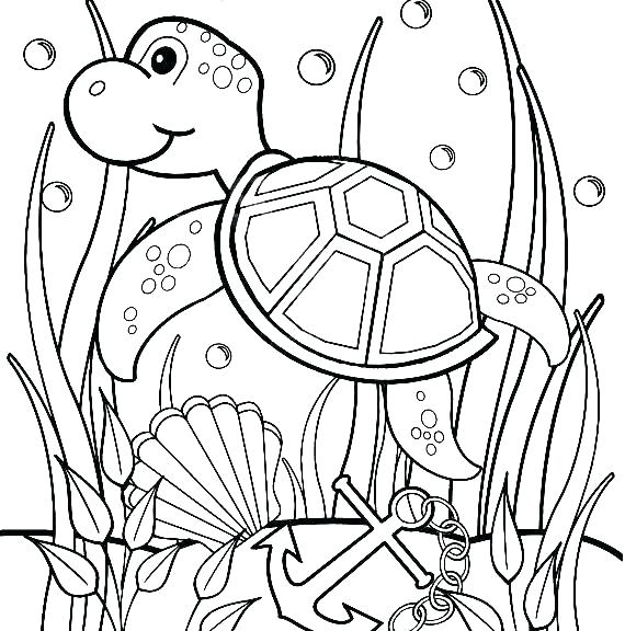 570x576 Sea Turtle Printable Pictures Turtle Coloring Pages Page Image