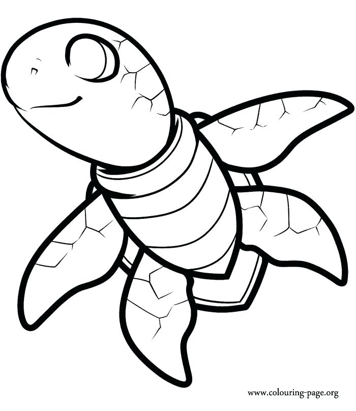 700x808 Turtle Color Sheet Swimming Turtle Coloring Page Box Turtle