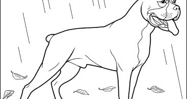 367x195 Boxer Dog Coloring Pages Coloring Page For Creativity