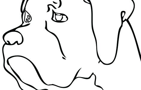 470x300 Boxer Coloring Pages Boxer Dog Coloring Pages Top Cat Coloring