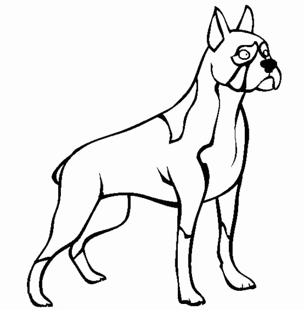 Boxer Puppy Coloring Pages