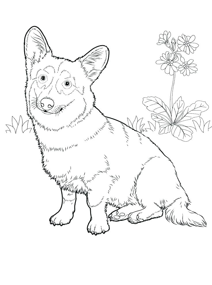 736x990 Boxer Coloring Pages