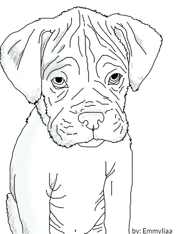 597x771 Wonderful Astounding Boxer Puppy Coloring Pages Print Original