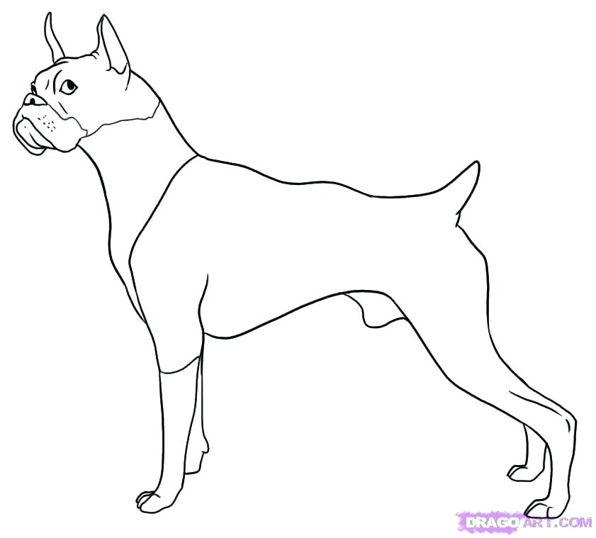 841x759 Boxer Coloring Pages Boxer Dog Coloring Pages Drawn Puppy Boxer 8
