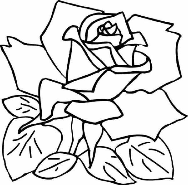 600x589 Rose For Girlfriend Coloring Page