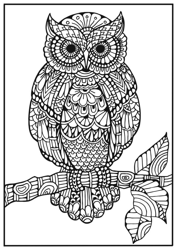 Bra Coloring Pages