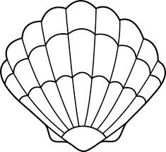 235x215 Sea Shell Stencil