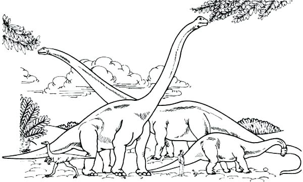 600x361 Brachiosaurus Coloring Page Endorsed Coloring Page Pages Free