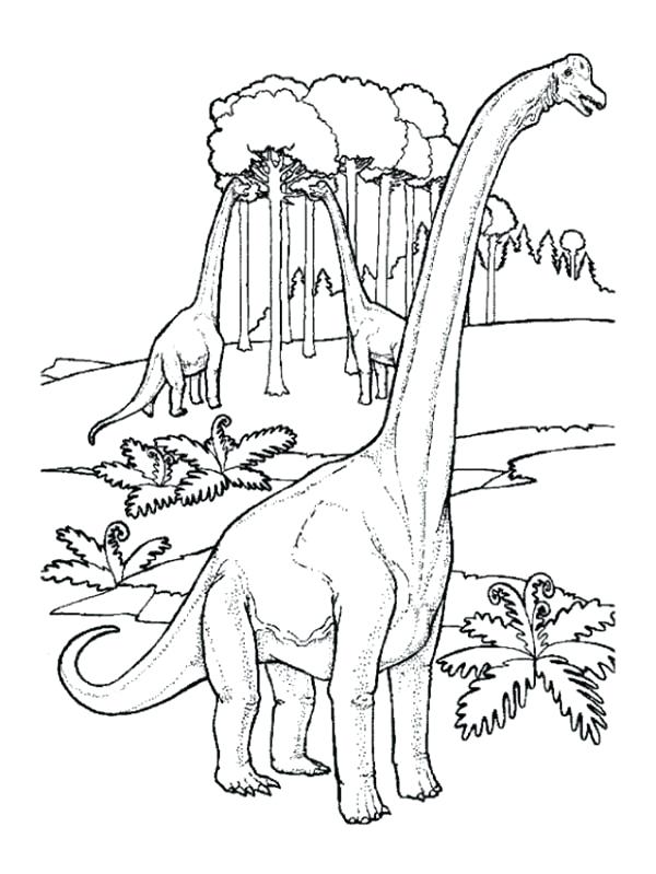 600x799 Brachiosaurus Coloring Page In The Jungle Coloring Page