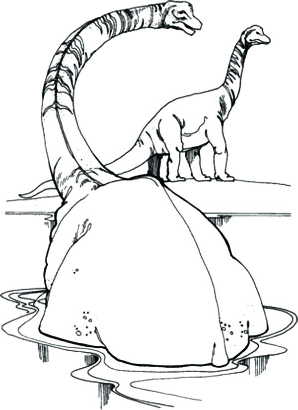 600x824 Brachiosaurus Coloring Page Shippa.co