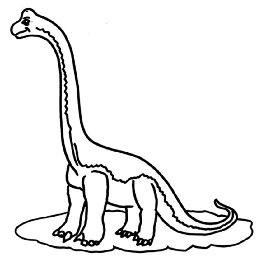 900x900 Brachiosaurus Coloring Page