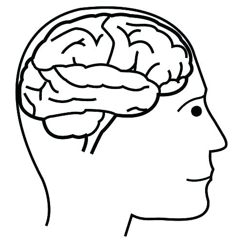 500x500 Brain Coloring Page Brain Coloring Top Rated Brain Coloring Page