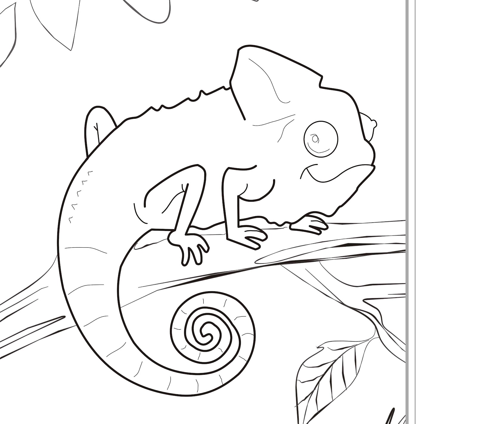 1600x1421 Brazil Animals Coloring Pages Bgcentrum