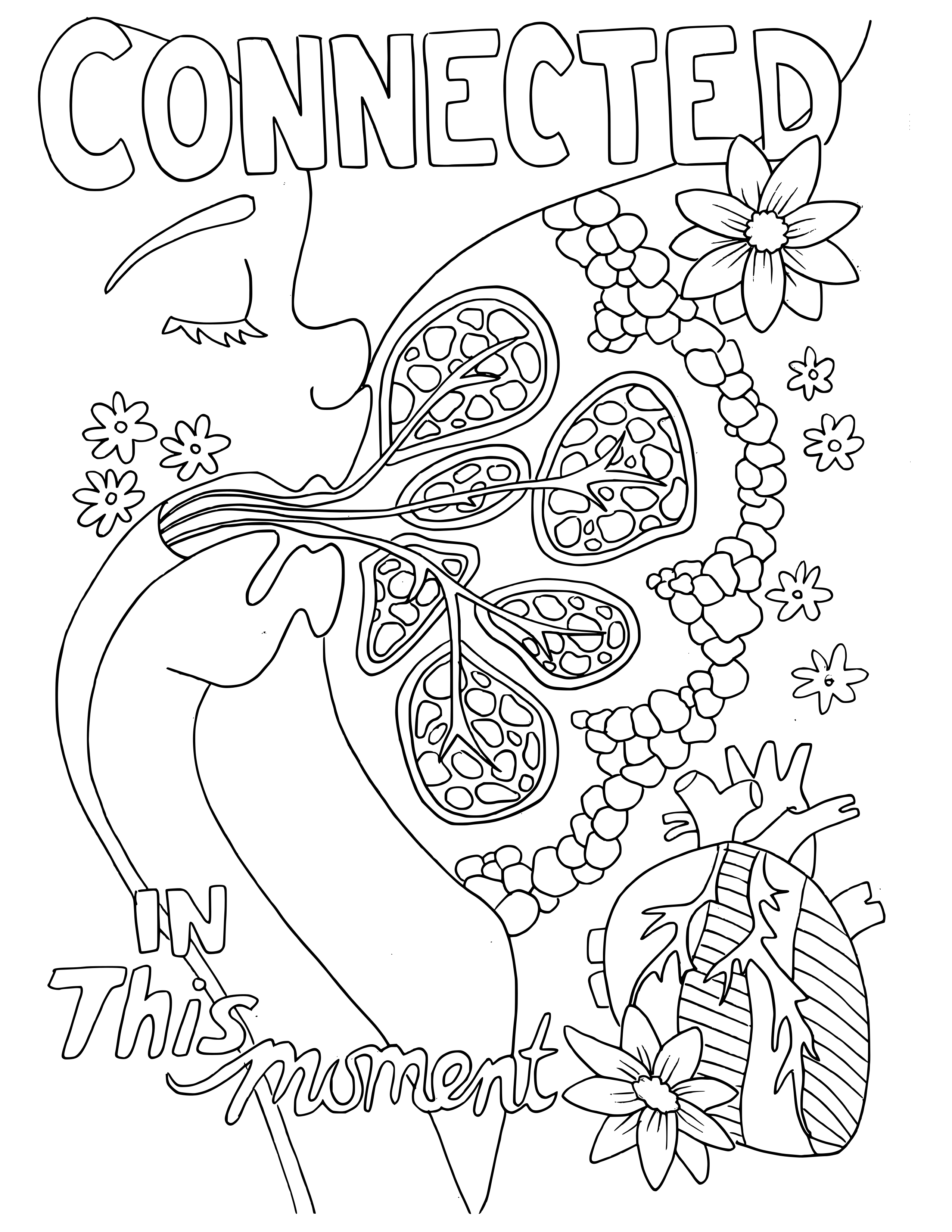 2550x3300 Adult Coloring Book