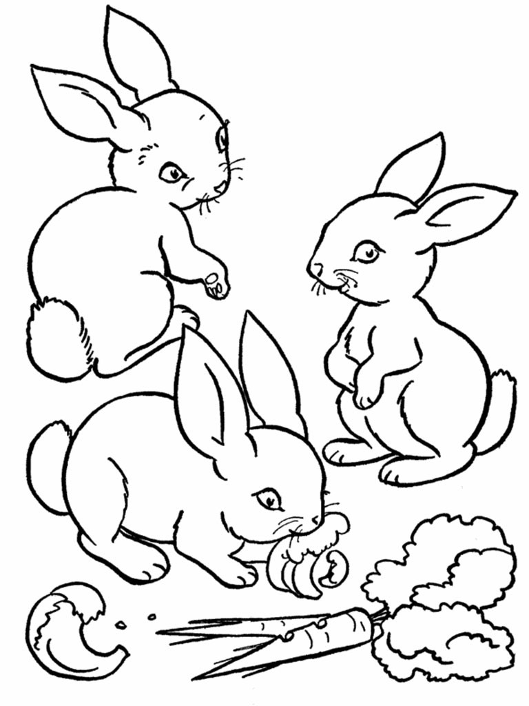 768x1024 Coloring Pages Rabbit Best Of Printable Rabbit Coloring Pages