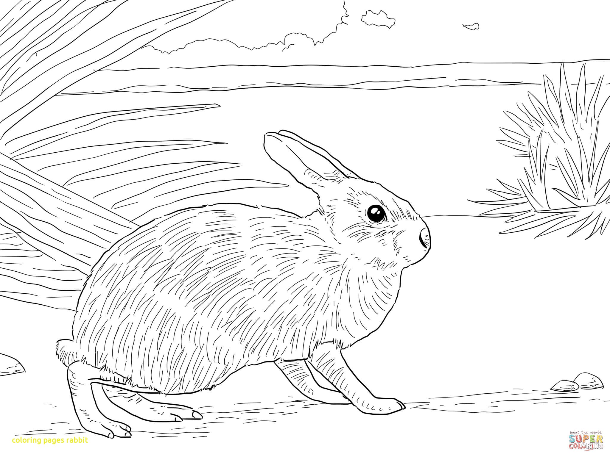 2048x1536 Incredible Brer Rabbit Coloring Pages Color Bros 08