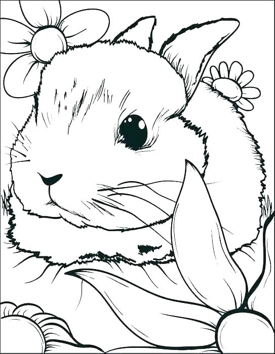543x700 Rabbit Coloring Page Rabbit Coloring Pages Rabbit Coloring Pages