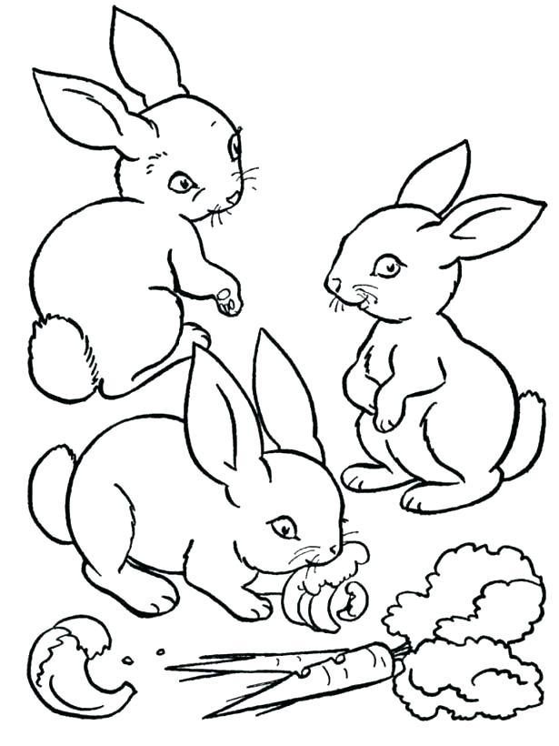 615x820 Rabbit Coloring Page Rabbit Head Coloring Page Brer Rabbit