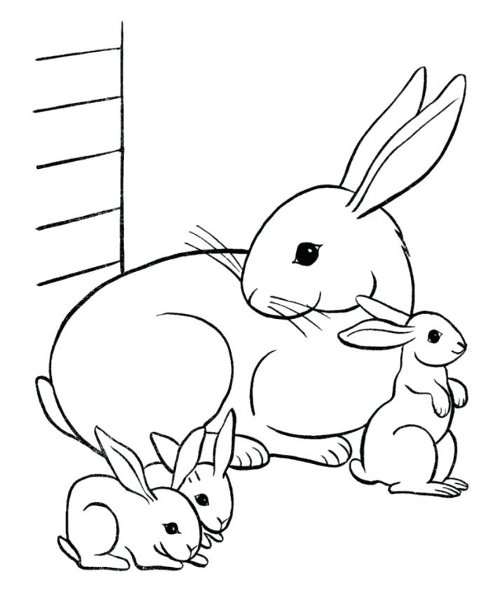 700x856 Captivating Free Rabbit Coloring Pages Captivating Free Rabbit