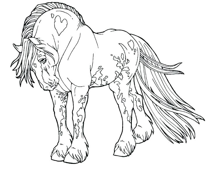 720x598 Breyer Coloring Pages Horse Coloring Pages Wonderful World