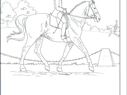 440x330 Breyer Coloring Pages Horse Coloring Sheets Pages My Not So Daily
