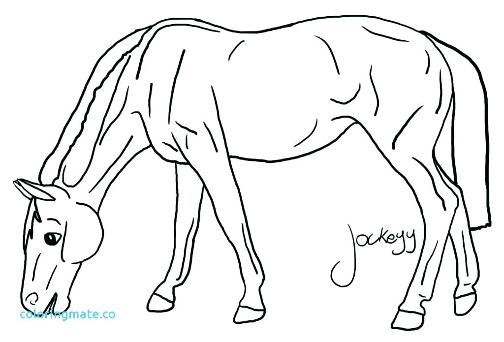 1024x695 Breyer Coloring Pages Coloring Pages Coloring Pages Free Coloring
