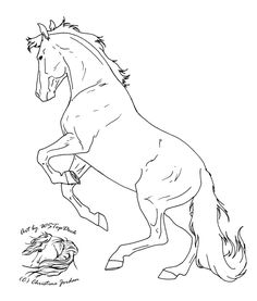 236x277 Breyer Horse Coloring Pages. Stunning Full Size Of Jumping Horse
