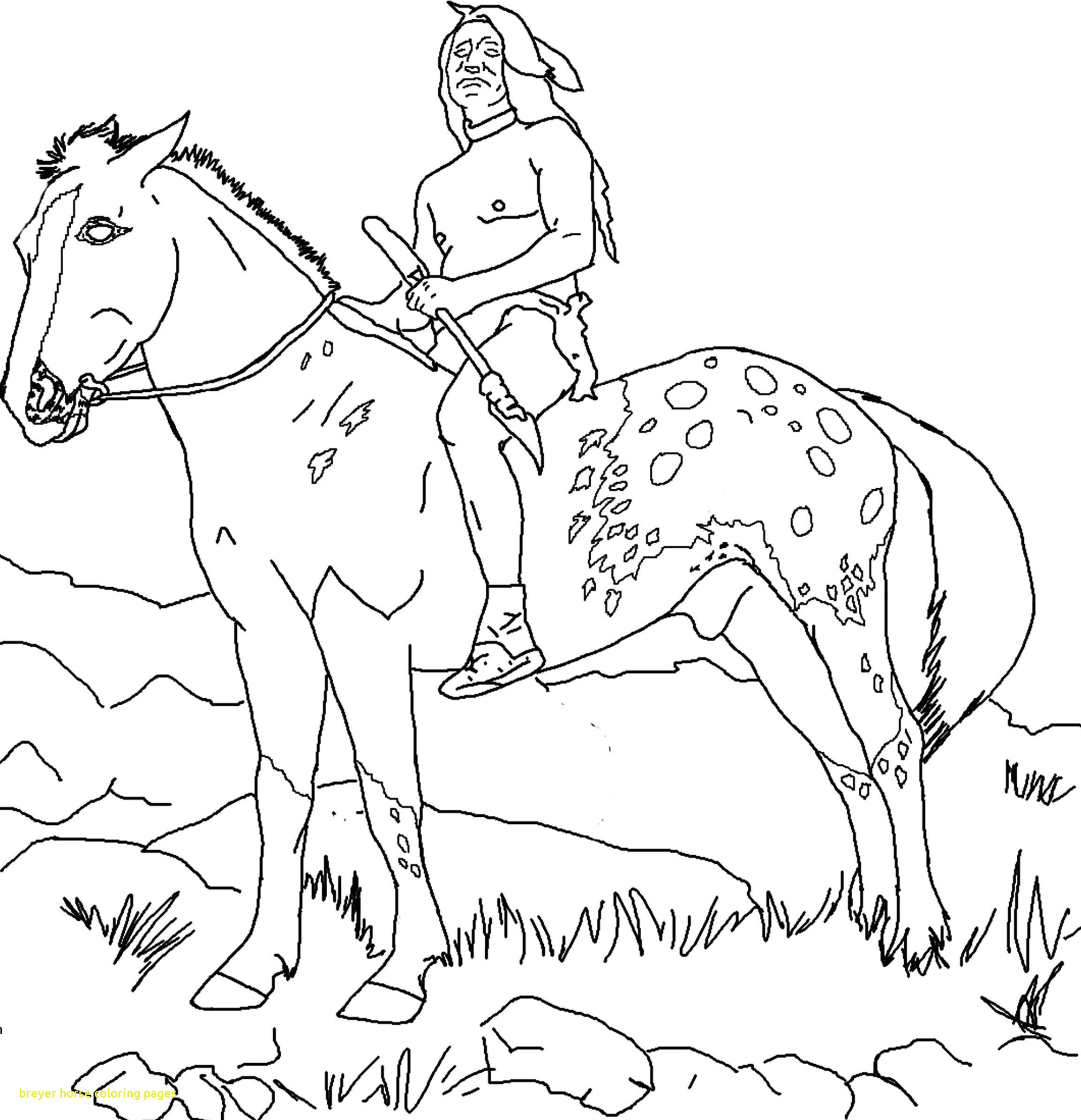 2306x2390 Colorful Breyer Horse Coloring Pages Image