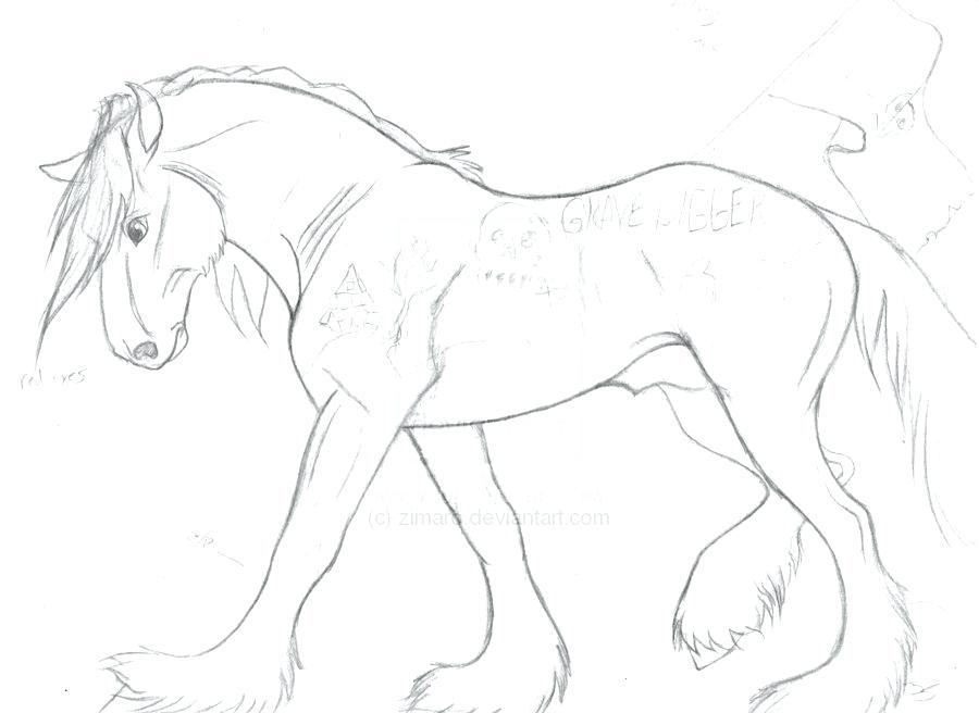 900x656 Breyer Coloring Pages