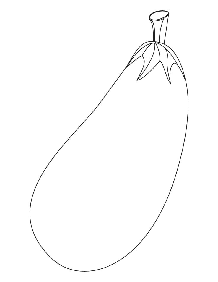 738x954 Long Brinjal Download Free Colori On Non Pollinated Eggplant