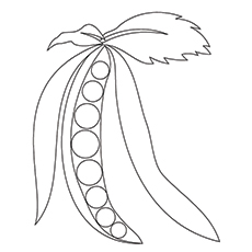 230x230 Top 10 Peas Coloring Pages For Toddlers