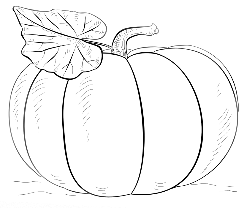 832x700 Vegetable Pumpkin Coloring Page