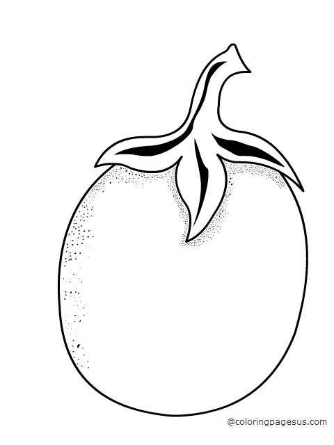 480x640 Brinjal03.jpg