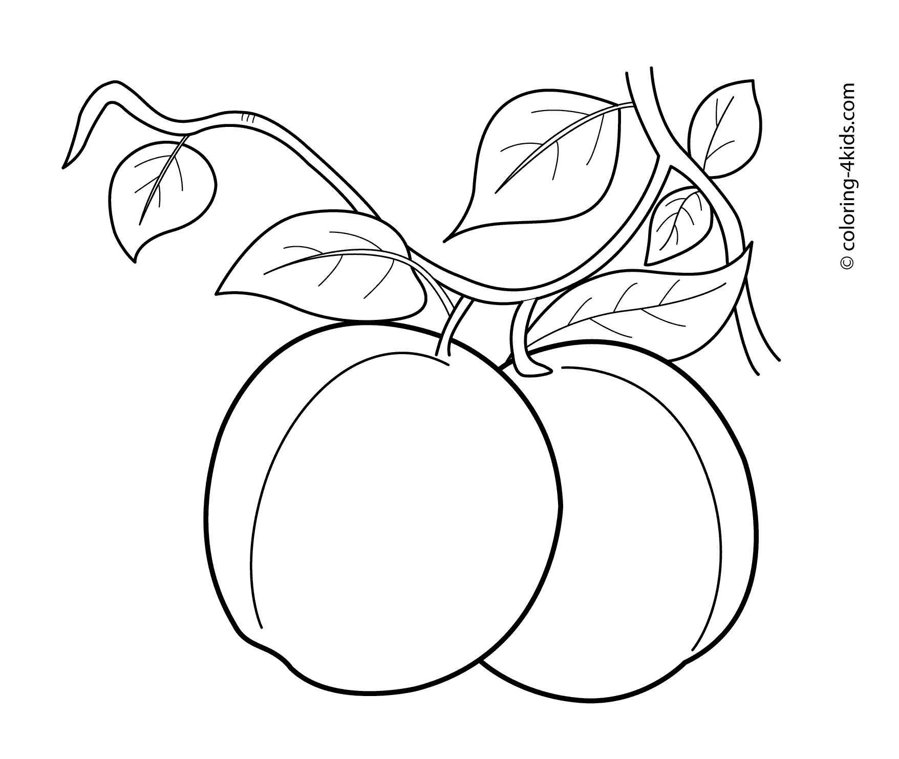 1756x1483 Best Of Apricots Coloring Pages Gallery Printable Coloring Sheet