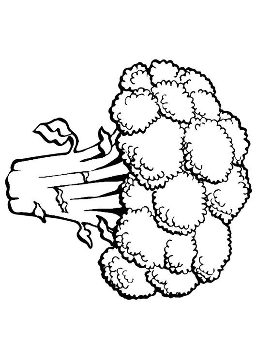 531x750 Coloring Page Broccoli