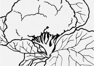 300x210 Vegetable Coloring Pages Images Garlic Ve Able Coloring Page