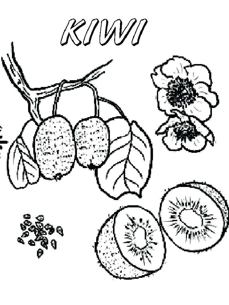 750x1000 Broccoli Coloring Page Blocktradex.club