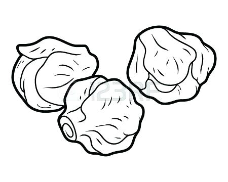 450x360 Broccoli Coloring Page Broccoli Coloring Page Broccoli Coloring