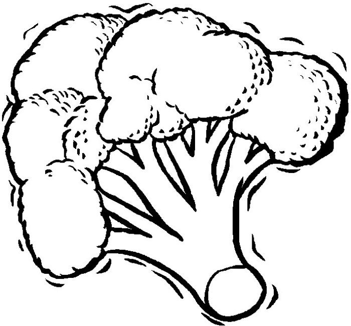 700x650 Broccoli Coloring Pages Printable Httpcoloringpandacoloring588362